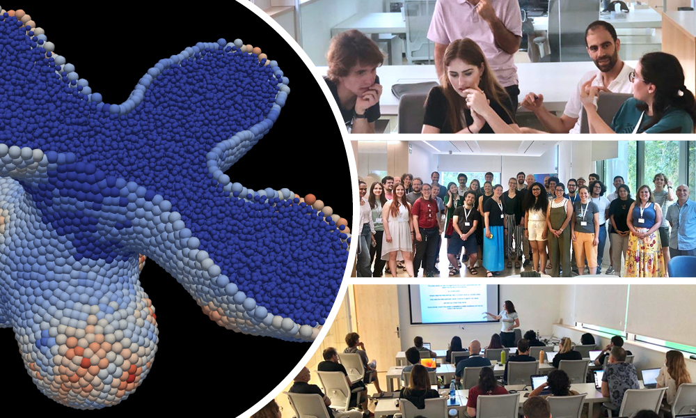 EMBO Summer Course